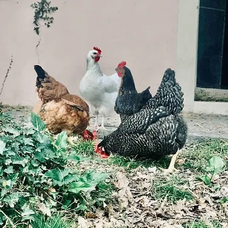 1986malagar 3* Baurech