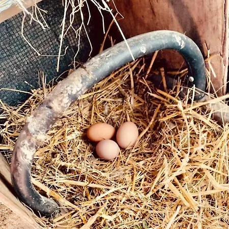 Frühstückspension 1986malagar Baurech