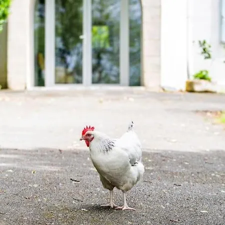 Frühstückspension 1986malagar 3*