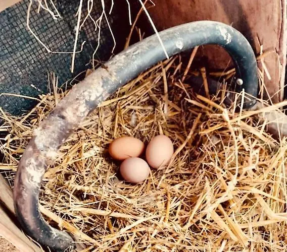 Frühstückspension 1986malagar Baurech