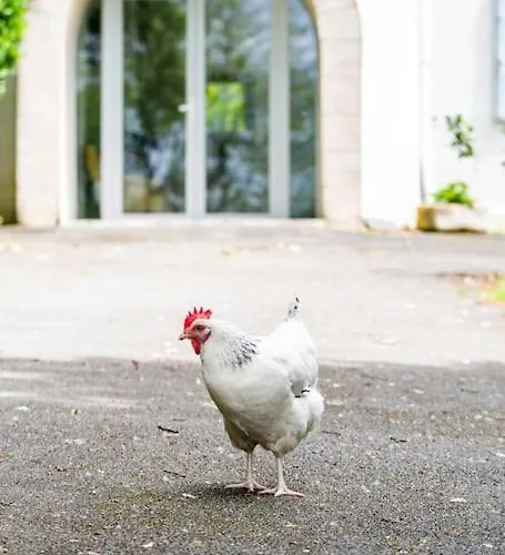 Frühstückspension 1986malagar 3*